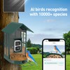 Soliom- Bird Feeder with Camera, 5W Solar Powered, AI Identify