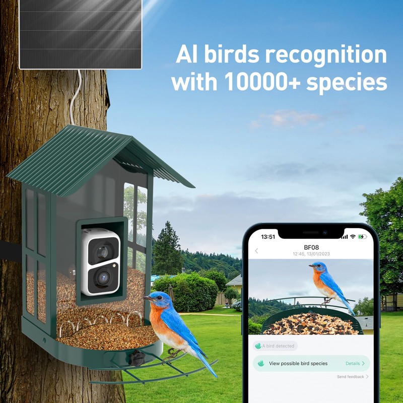 Soliom- Bird Feeder with Camera, 5W Solar Powered, AI Identify