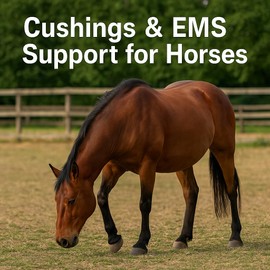 Freestep LamiAlert CSH – Cushings Support Supplement for Horses | Reduces Cresty Necks, Fat Pads & Eye Puffiness | Sugar Balance with Magnesium, Barberry & Chasteberry