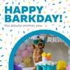 Outward Hound Hide A Birthday Cake, Plush Puzzle Birthday Themed