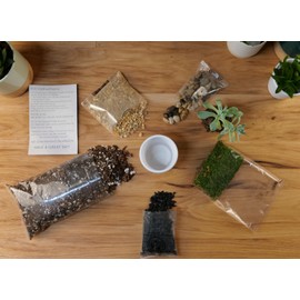 TerraGreen Creations TerraGreen Creations Succulent Planter Kit - Terrarium Kit with Succulent Soil, Gravel, Pebble, Moss,