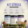 COMMONS Hongos Adaptógenos Kit Calma Reishi y Tulsi Extracto Puro
