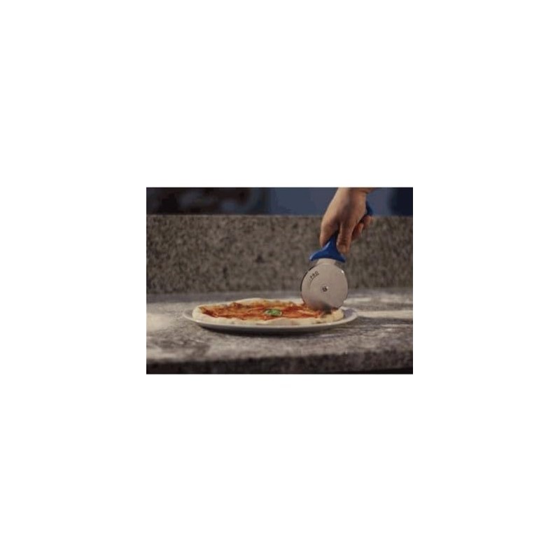 Gi.Metal Professional Pizza Cutter, 10 cm Stainless Steel Blade, Removable