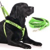 Dexil FRIENDLY (Known as Friendly to all) Green Colour Coded