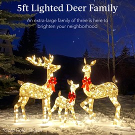 Best Choice Products 3-Piece Large Lighted Christmas Deer Family Set 5Ft Outdoor Yard Decoration with 360 LED Lights, Stakes, Zip Ties - Iridescent