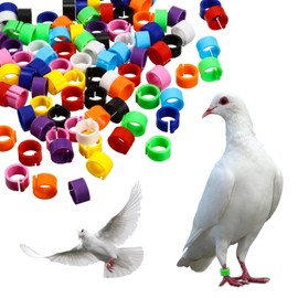Bird Rings Pigeon Rings Quail Rings Chicken Rings Pack of 200 Plastic Identification Ring Poultry Band Clamping Rings for Marking for Bird Parrot Pigeon Quail Chick 8 mm Assorted Colours