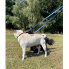Double Ended Dog Training Lead Police Style Adjustable Leash 11ft