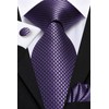 Dubulle Mens Tie Set Solid Paisley Silk Striped Necktie for