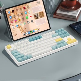 Happy Balls Doubleshot Keycaps for 61 63 64 66 68 84 87 96 100 104 108 MX Switches Mechanical Keyboards, PBT OEM Profile Cherry MX Key Caps (Sea Salt Keyset)