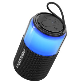 Passau Portable Bluetooth Speaker Wireless with Lights, 15W Loud Stereo Clear Sound, All Day Playtime, BT 5.4, TWS Paring, for Home Outdoor Party Beach (Black)