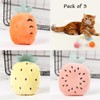 Petiry Interactive Catnip Chew Toys-3pcs Soft Plush Cartoon Cat Toy
