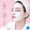 Peel-Off Anti-Ageing and Anti-Ageing Face Mask with Spirulina and Alginates,
