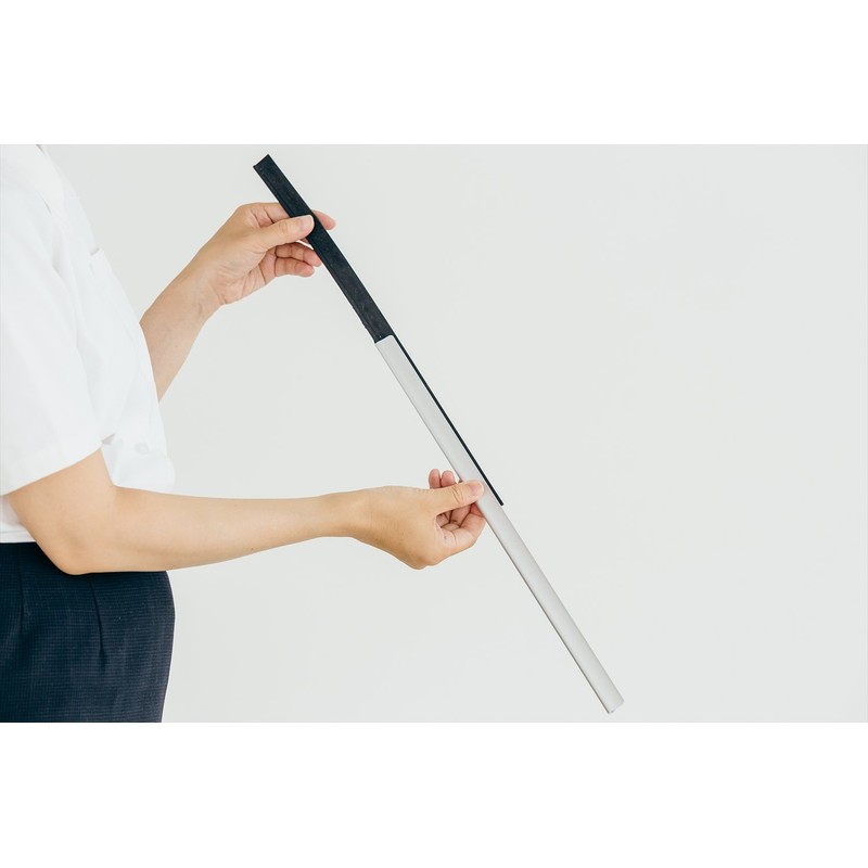 Yamazaki Sangyo EX 177745 Daily Clean Window Glass Squeegee, 11.8