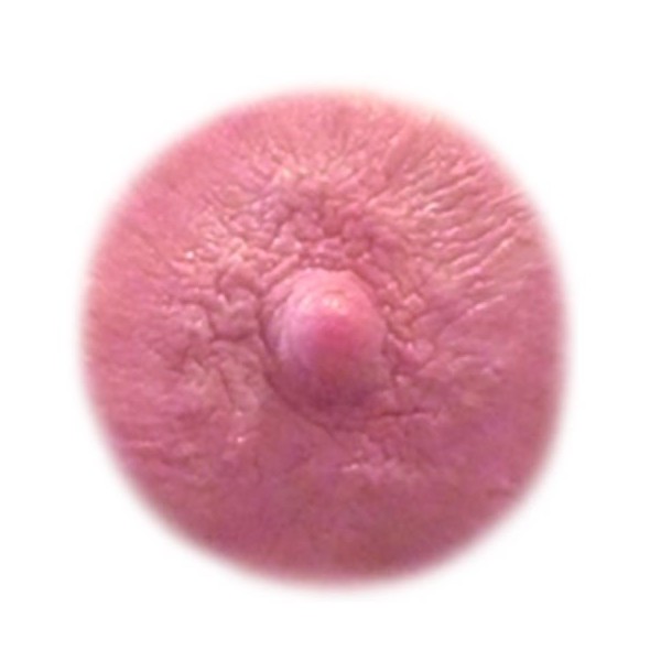 TataTattoos Temporary Realistic Nipple/Areola Tattoos (Cream, Small (Pack of 2))