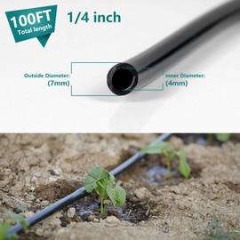 Daisypower 1/4 inch(6mm) Blank Distribution Tubing Drip Irrigation Hose,100ft/30.5M Soft Watering Tube for Small Lawn Garden Irrigation System