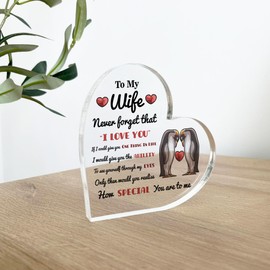 Red Ocean Never Forget That I Love You Gift For Wife Acrylic Plaque Valentines Day Gift For Wife Gift For Anniversary Wife Gifts Romantic Gifts Love Gift Keepsake Gift For Her