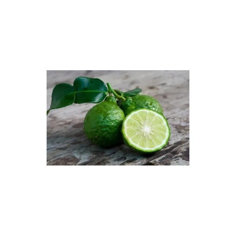 Jabón Bergamota,aceite Para La Barba,shampoo Bergamota