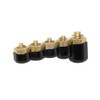 Lisle 10810 Injector Rail Fuel Line Cap Set, 5 pc.