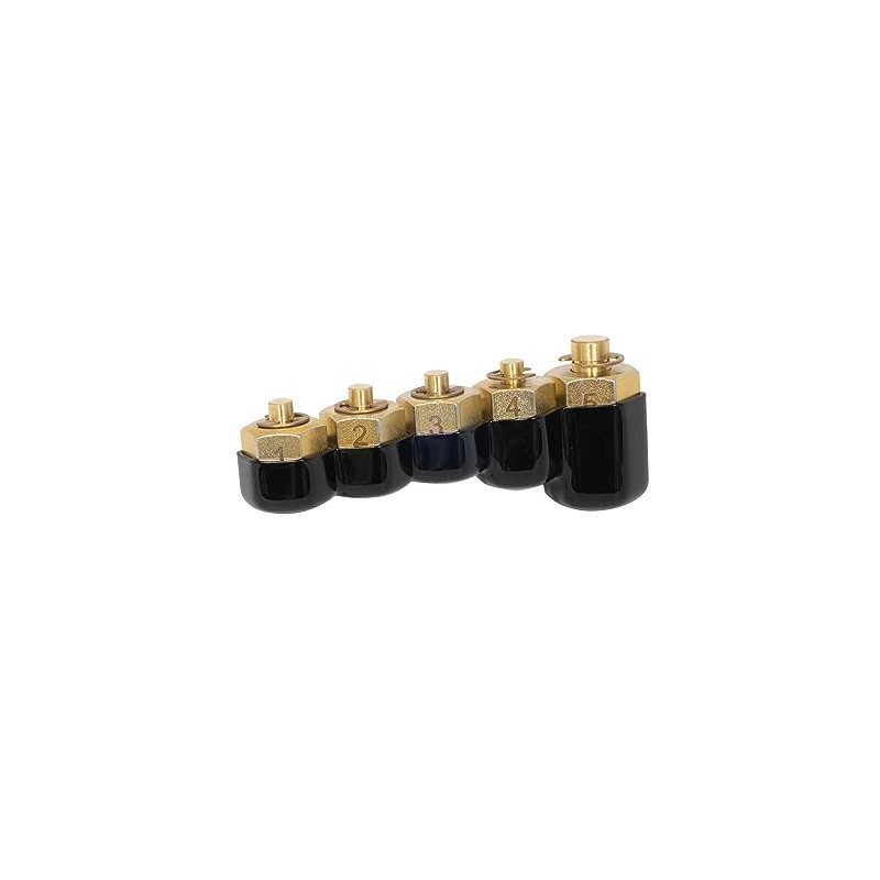 Lisle 10810 Injector Rail Fuel Line Cap Set, 5 pc.