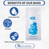 8LB Ice Storage Bags – 500 Bags - 10"x20" -