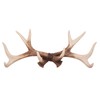 Wowser Rustic Deer Antler Wall Mounted Hook Rack - 14.75