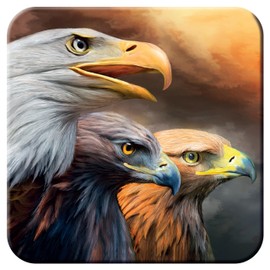 3D LiveLife Cork Coaster - Three Eagles from Deluxebase. Drinks Coaster with Lenticular 3D Animal Image. Non-Slip Protective Table Drink Mat for Home Decor and Decorative Accessories.