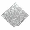 tiemart Pattern Pocket Square (Mercury Silver Clara Paisley)