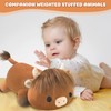 SQEQE Weighted Highland Cow Stuffed Animals, Weighted Highland Cow Plush,