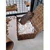 Sleepy Degu Bedding (60g) (3)