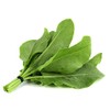 Sorrel Large Leaf Seeds - Heirloom