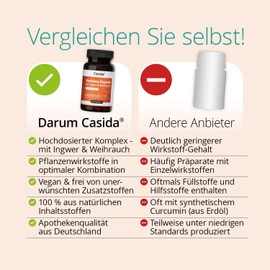 Casida® Turmeric Capsules with Ginger & Frankincense, Plant-Based Active Ingredient Complex with Various Applications, 90 Capsules