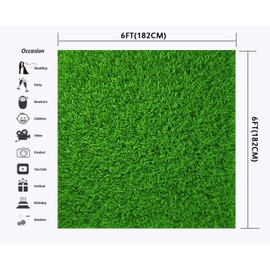Nature Green Grass Backdrops for Photography 6x6FT Spring Realistic Grass Lawn Backgrounds for Baby Shower Birthday Party Photoshoot LUCKBTY LUZZ440