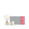 ECOYA Mini Gift Set - Guava & Lychee Sorbet