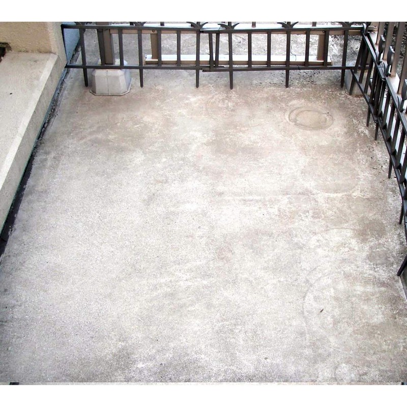 toyak moss mold remover 420ml