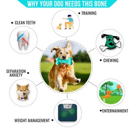 generico WONDER NOW | Hundespiel Spielzeug Für Große Hunde Und Welpen | Strapazierfähiges Spielzeug Produkte Für Hunde | Knochen Beißen Zubehör | Kauknochen (Hellblau)