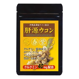 Dainichi Healthy Foods Liver Source Turmeric 90 Tablets x 1 Bag Spring Turmeric Autumn Turmeric Purple Turmeric Black Turmeric Compound Tablet-Type Supplement