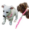 Olahibi Dog Collar and Leash Set, Pink Daisy Pattern, Polyester
