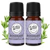 Wild Essentials Rosemary 100% Pure Essential Oil 2 Pack - 10ml, Therapeutic Grade, Made and Bottled in The USA