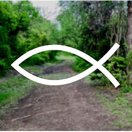 Christian Fish Jesus [Pick Any Color] Vinyl Transfer Sticker Decal for Laptop/Car/Truck/Window/Bumper (4in x 1.7in (Laptop Size), White)