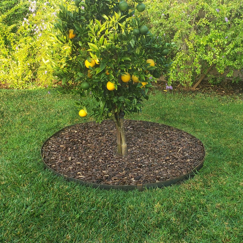 Circular Tree Ring Edging Kit - COR-Ten Steel - Landscape