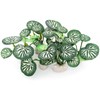 Vtapliea 6PCS Aquarium Plants Fish Tank Decorations Betta Silk Plastic