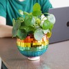 Bubblegum Stuff Disco Ball Hanging Planter Rainbow Edition - Hanging