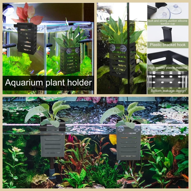 Taicols 4 Pack Aquarium Plant Holder with Hooks and Suction