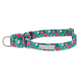 Lucky Love Dog Martingale Dog Collar - Adjustable, No-Slip, Durable, & Soft Webbing Dog Collar for Male and Female Dogs Ideal for Training & Walking - Penny, Medium