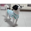 Lightweight Breathable Dog Cooling Shirts, Quick Dry Sunscreen T Shirt,