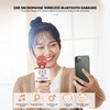 Q88 Microphone Wireless Bluetooth Karaoke LED Portable Handheld Black for
