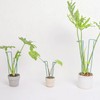 GOOOXIM Set of 10 Indoor Plant Support 12“- Durable U-Shape