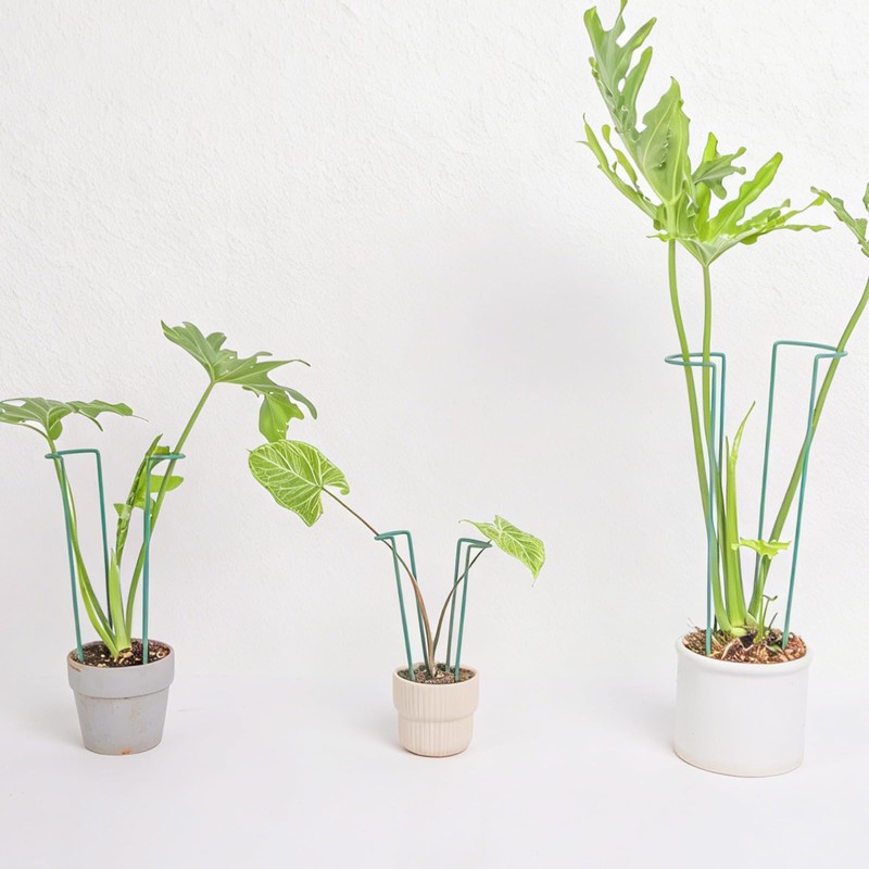 GOOOXIM Set of 10 Indoor Plant Support 12“- Durable U-Shape