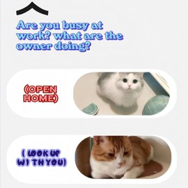 SansRealmL Interaktives Katzenspielzeug Elektrischer Katzenball mit 360° Rollfunktion & Bewegungsmelder, Intelligentes Selbstläufiges Spielzeug für Hauskatzen