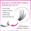 VEYESBEAUTY Lash Clusters Eyelashes Cluster Lashes Extensions One More+ Multi-type